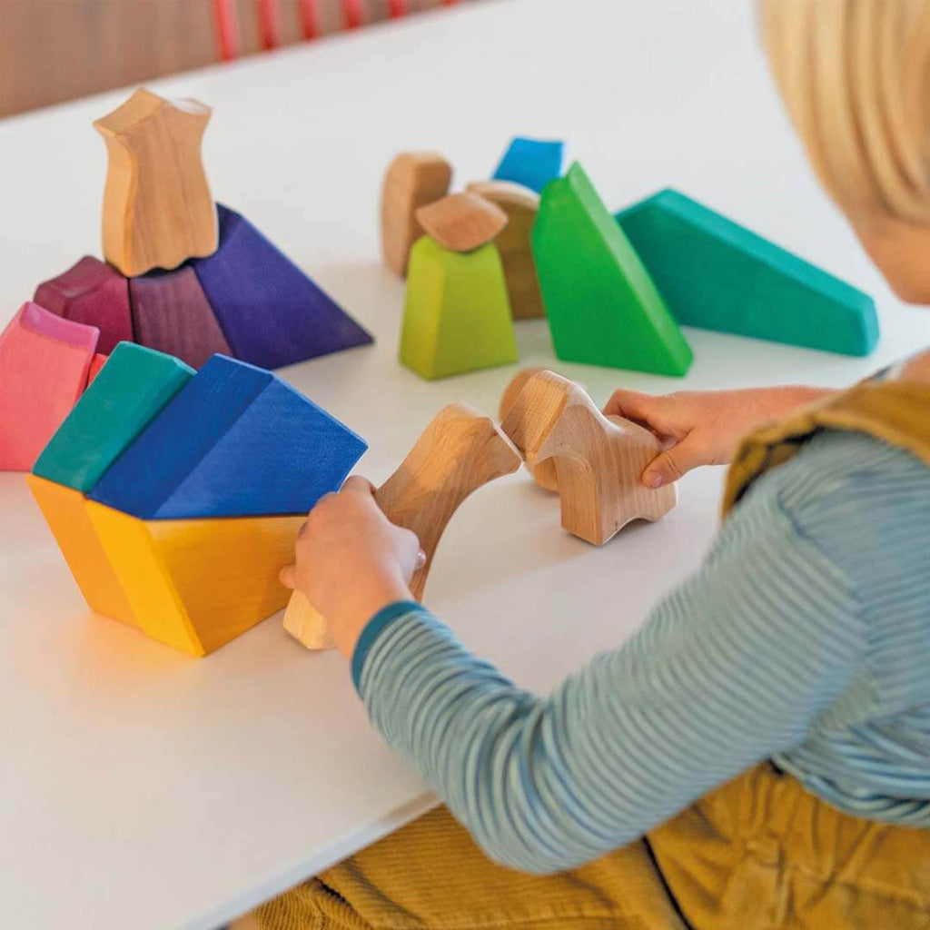 Rainbow Lion Wooden Puzzle