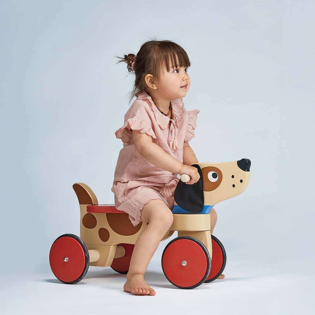 Ride On Puppy